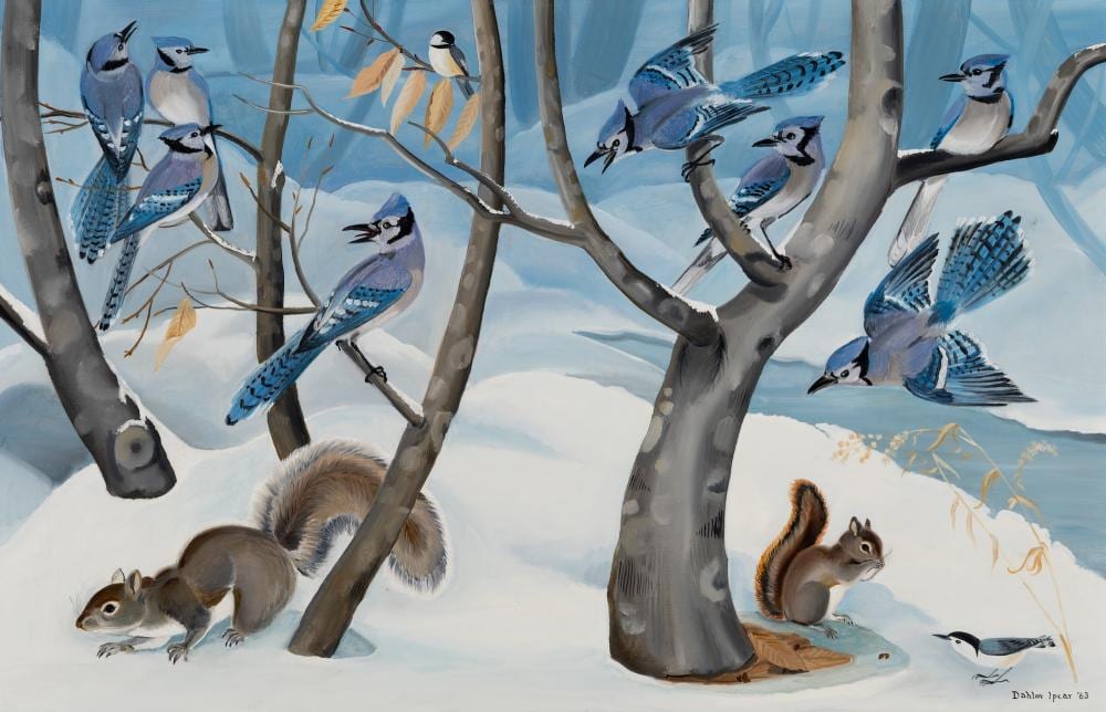 Dahlov Ipcar comparable auction result: dahlov ipcar am 1917 2017 jays and squirrels 1963 oil on canvas framed