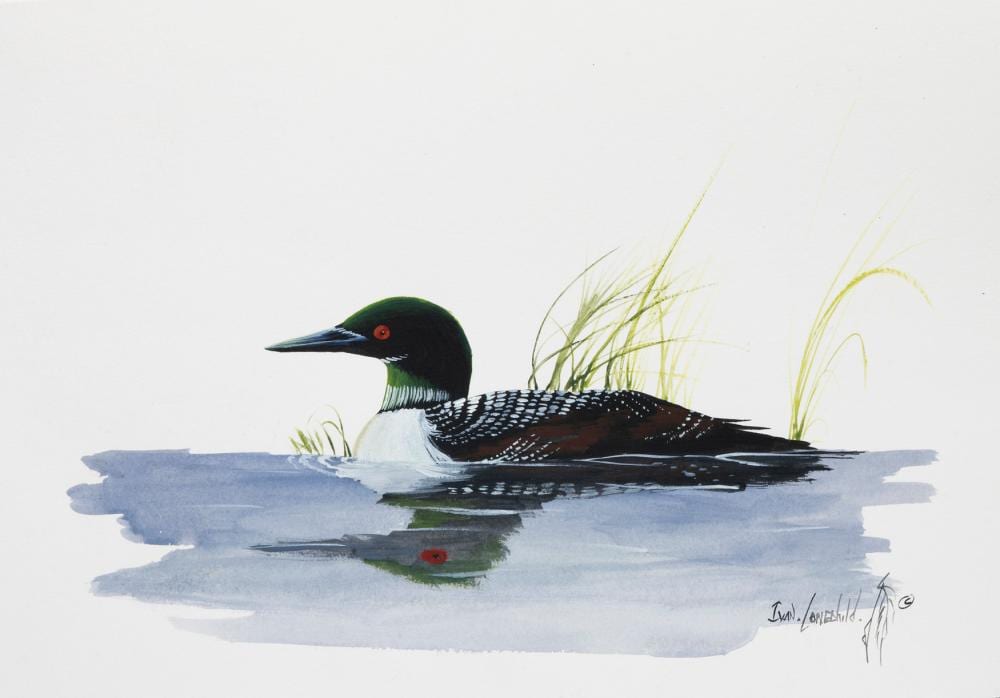 Ivan Lonechild comparable auction result: ivan lonechild solitary loon