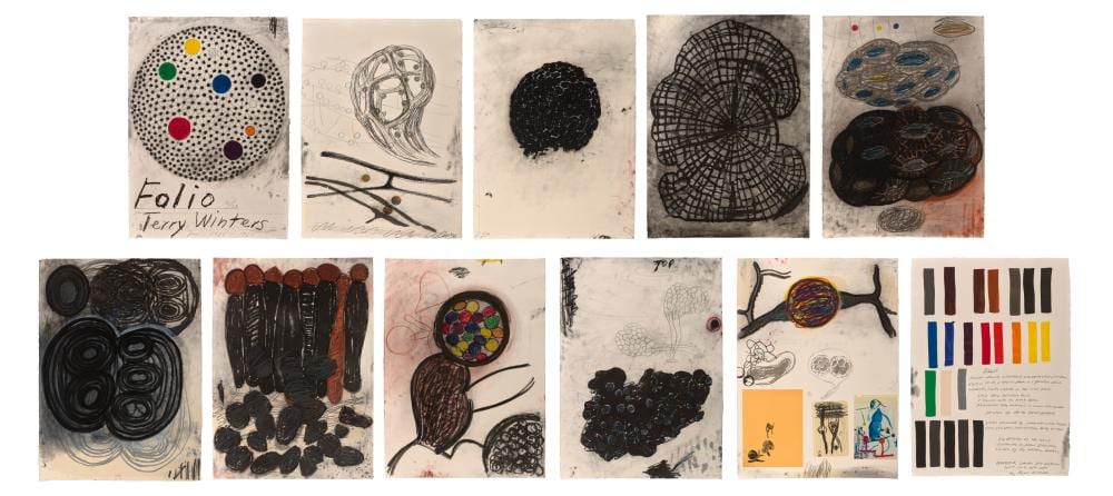 Terry Winters comparable auction result: terry winters b 1949 folio overall 33 x 24 x 1 3 8 in 845 x 629