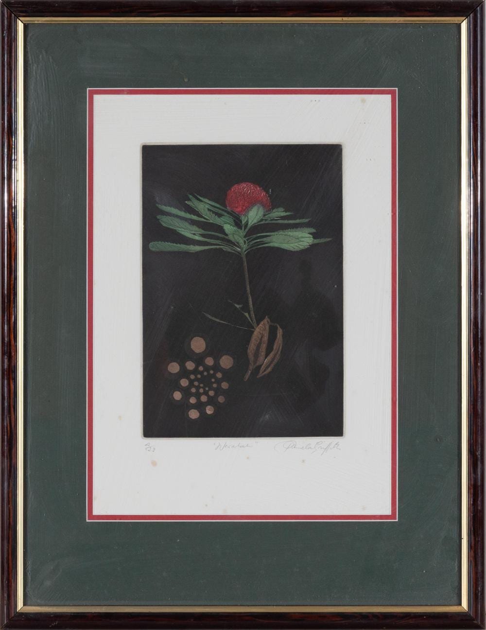 Pamela Griffith comparable auction result: pamela griffith waratah coloured etching 27 x 19 frame size 59 x 46cm