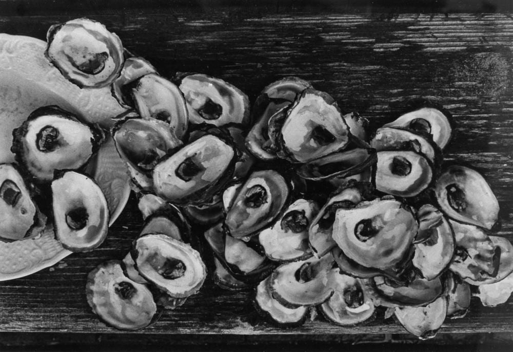 lilo raymond oyster shells signed photograph · District Auction · 2026-04-12 Lilo Raymond comparable auction result: lilo raymond oyster shells signed photograph