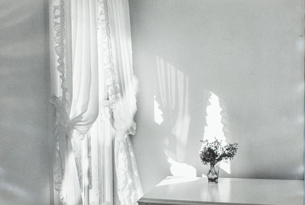 lilo raymond signed still life photograph 1977 · District Auction · 2026-04-12 Lilo Raymond comparable auction result: lilo raymond signed still life photograph 1977