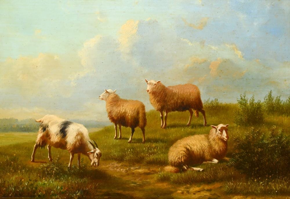 Arthur de Waerhert comparable auction result: arthur de waerhert 1881 1944 oil on panel sheep and goat in the meadow signed