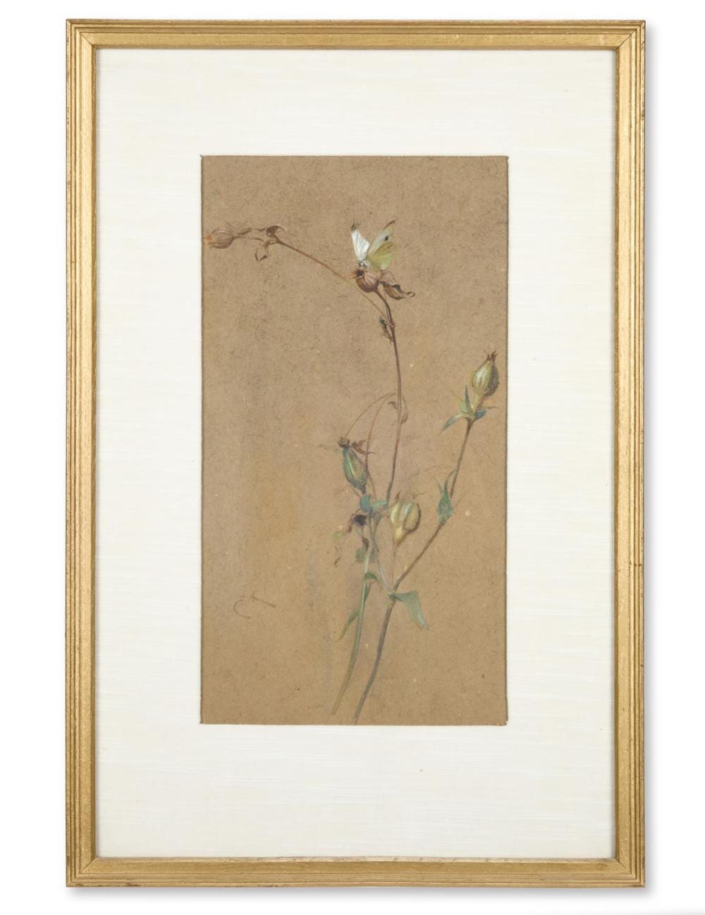 Edwin John Alexander comparable auction result: edwin john alexander british 1870 1926 a butterfly on seeded campion