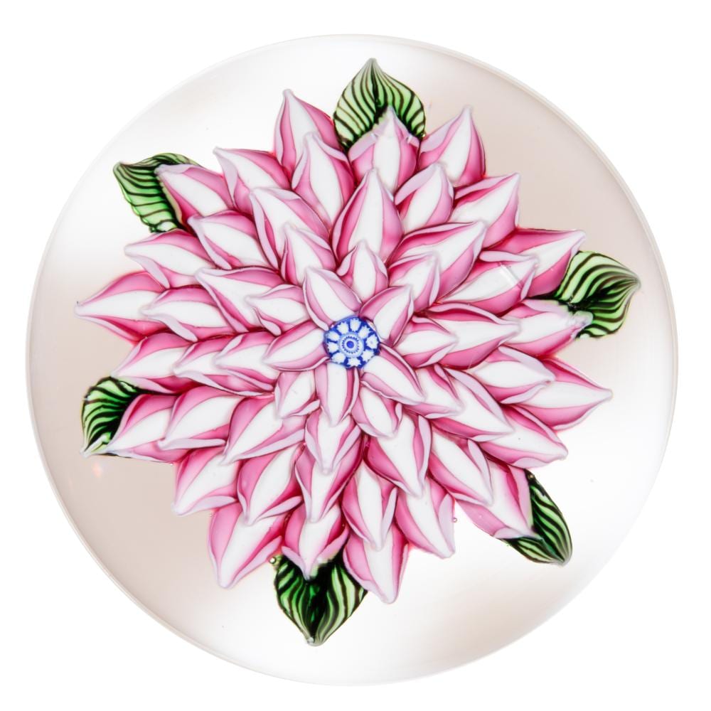 John Deacons comparable auction result: john deacons scottish b 1950 dahlia lampwork studio art glass paperweight