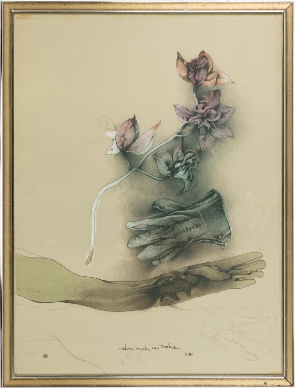 Bruno D'Arcevia comparable auction result: bruno bruni italian b 1935 natura morta con orchidea still life with orchid print