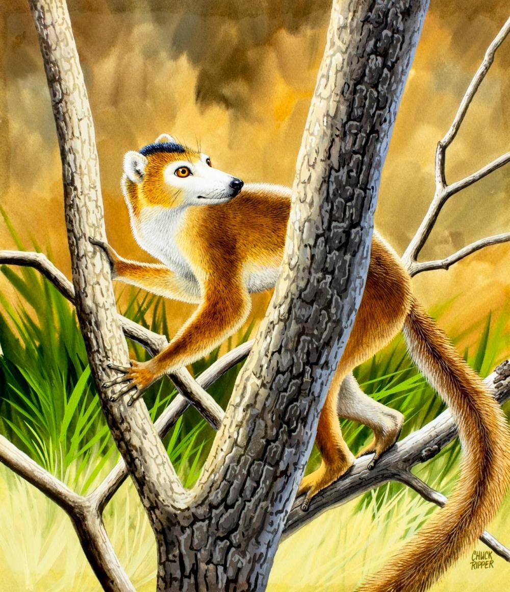 Chuck Ripper comparable auction result: chuck ripper wv pa 1929 2019 gouache painting