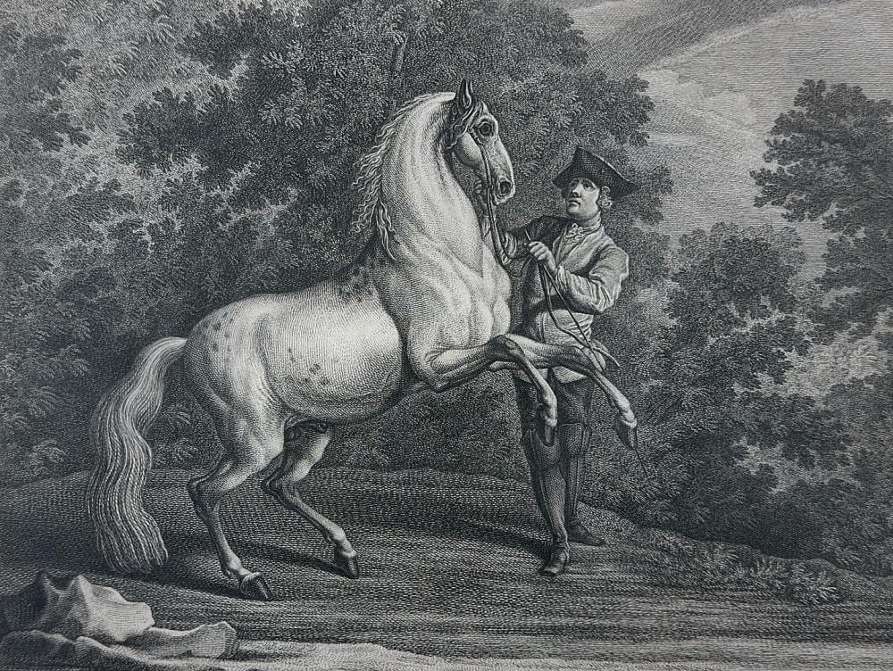 Martin Elias Ridinger comparable auction result: martin elias ridinger johann gottfried seutter d hnisches pferd