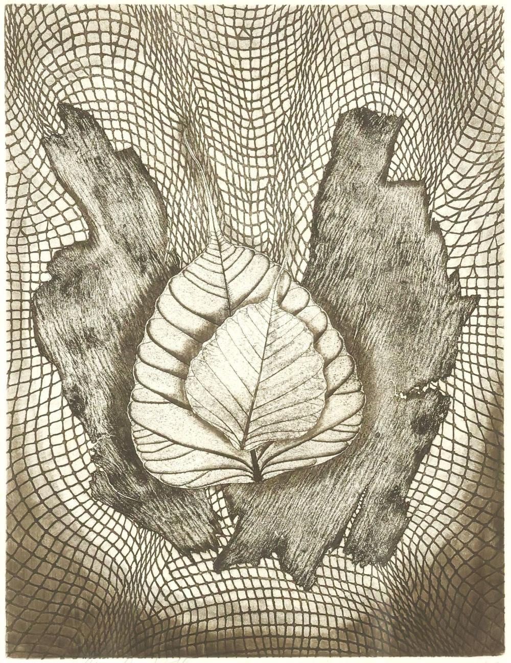 Aryeh Rothman comparable auction result: aryeh rothman israeli austrian 1921 2007 aquatint enmeshed leaves