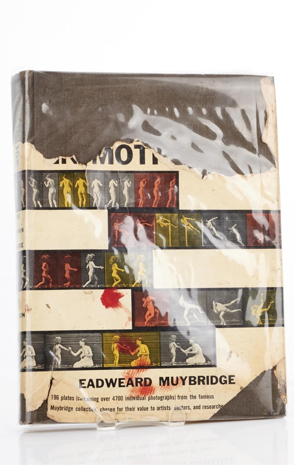 Eadweard Muybridge comparable auction result: eadweard muybridge the human figure in motion height 27 cm