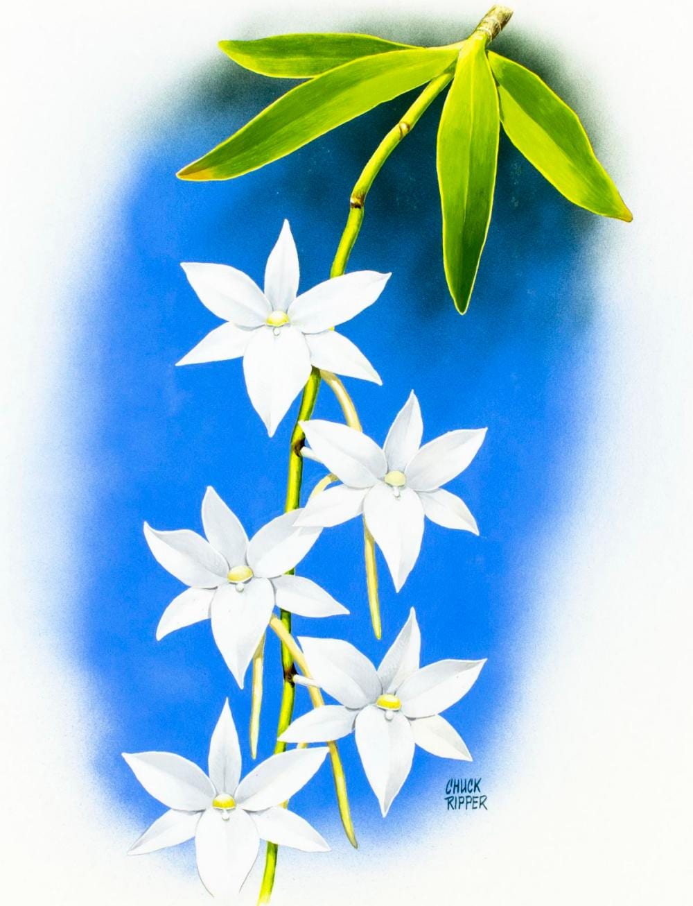 Chuck Ripper comparable auction result: chuck ripper wv pa 1929 2019 gouache painting