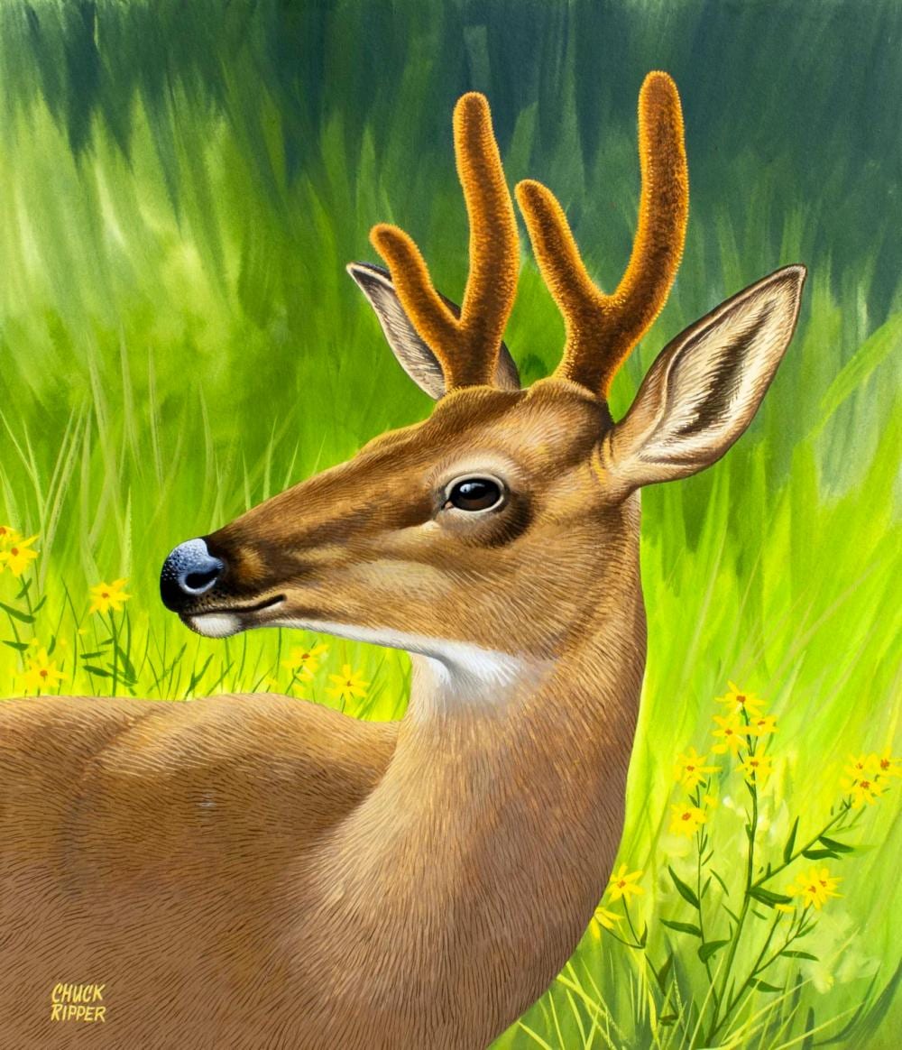 Chuck Ripper comparable auction result: chuck ripper wv pa 1929 2019 gouache painting