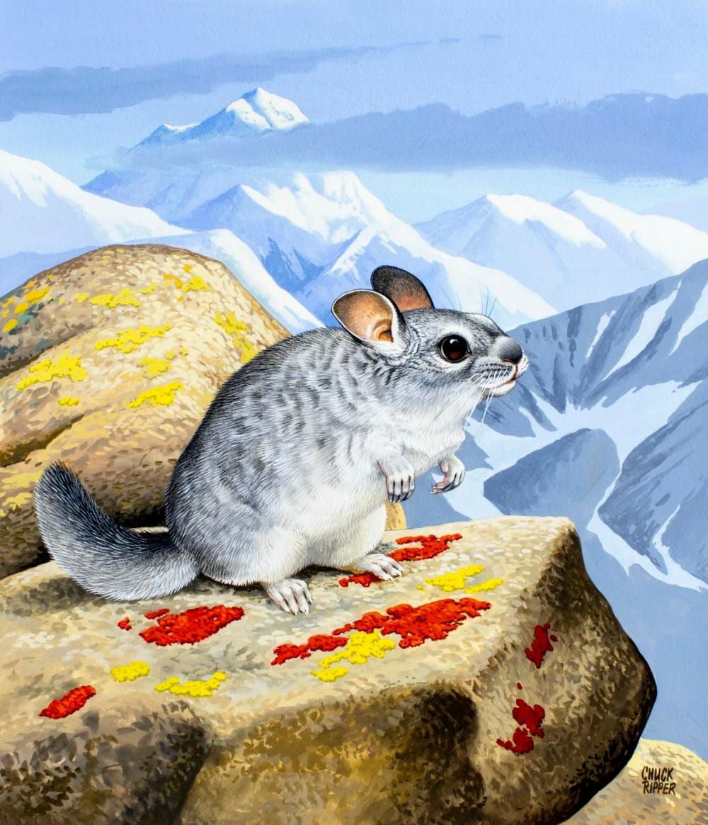 Chuck Ripper comparable auction result: chuck ripper wv pa 1929 2019 gouache painting