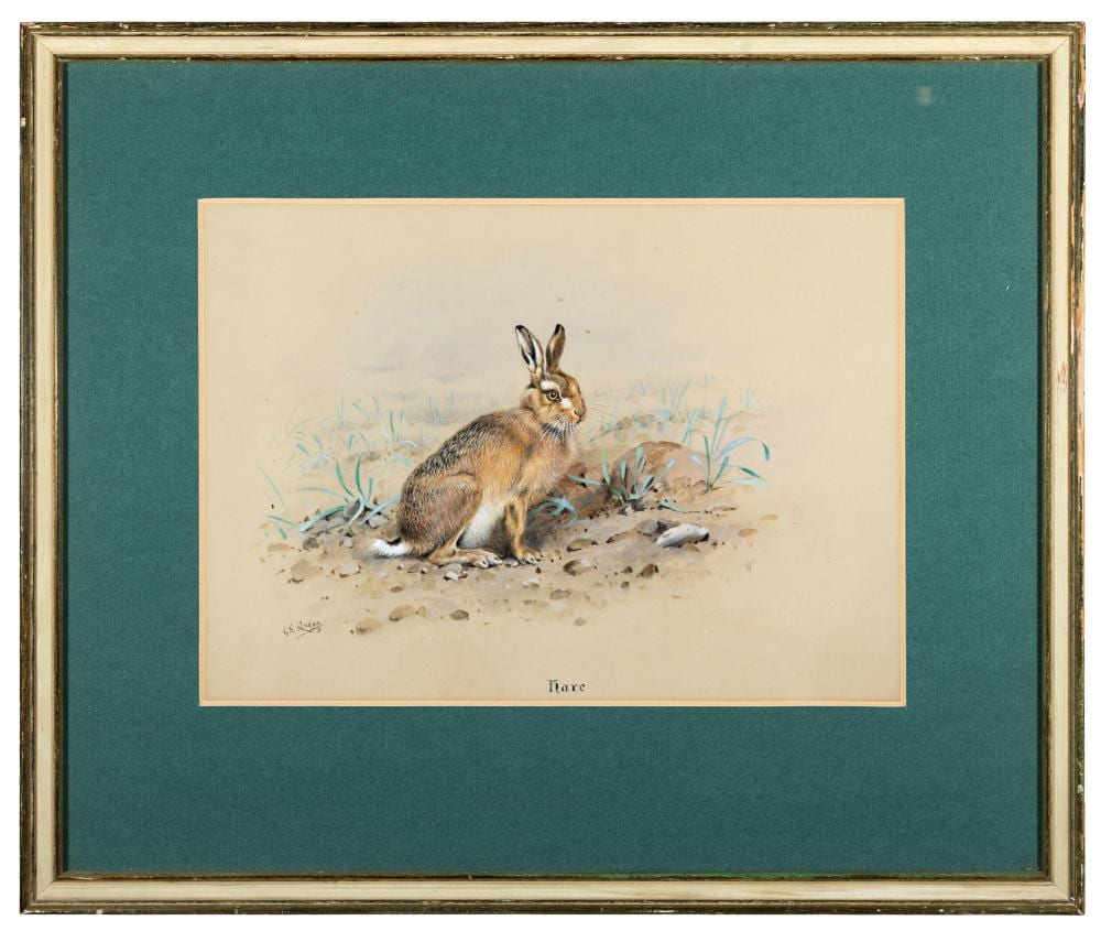 George Edward Lodge comparable auction result: george edward lodge 1860 1954 hare watercolour 25 x 35cm signed and inscribed