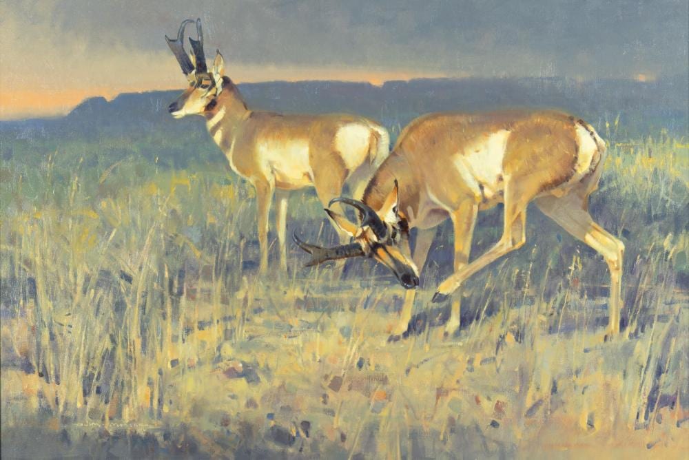 Jim Morgan comparable auction result: jim morgan b 1947 down time 2004
