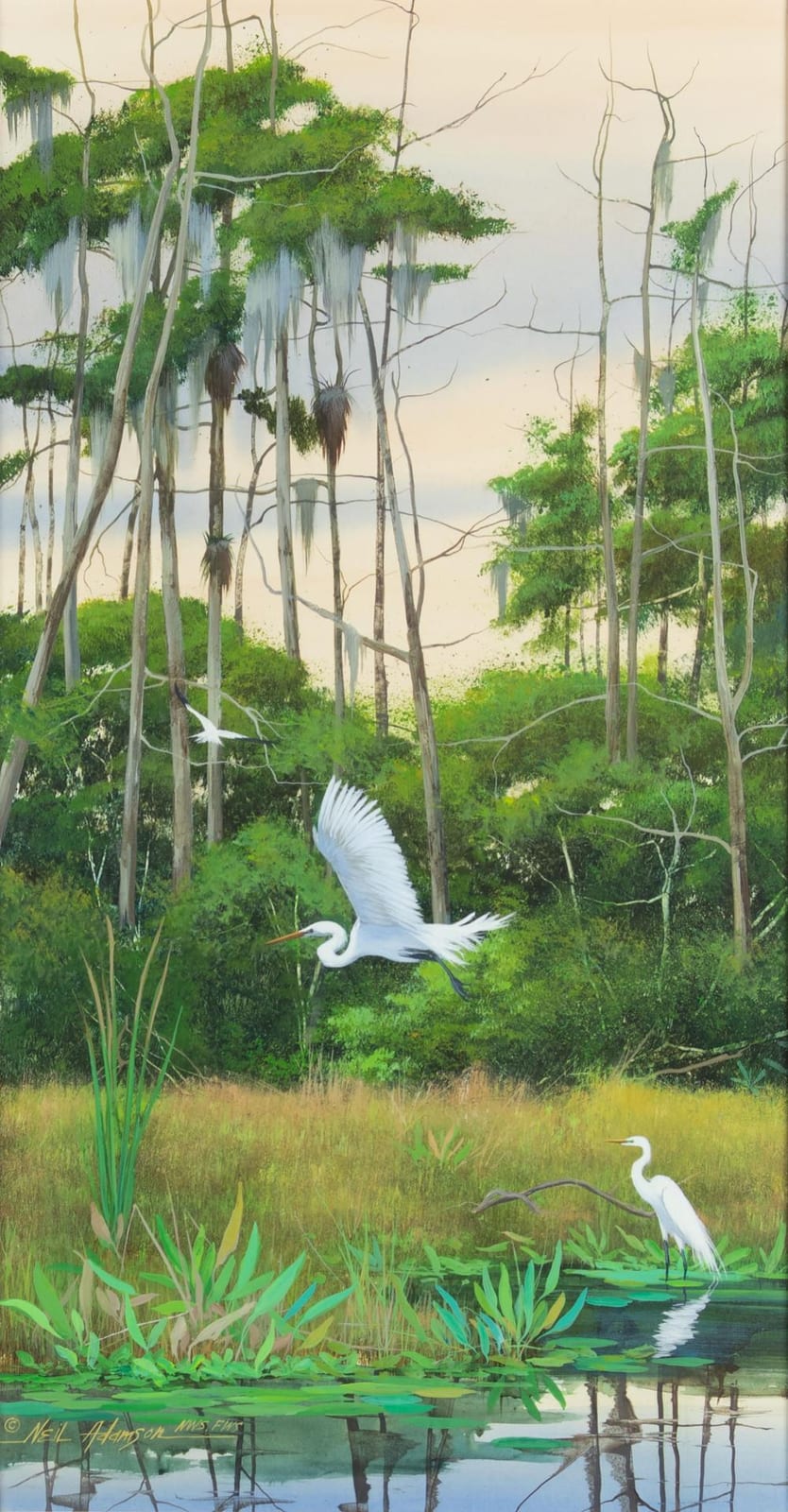 Neil Adamson comparable auction result: neil adamson 20th century everglades residents