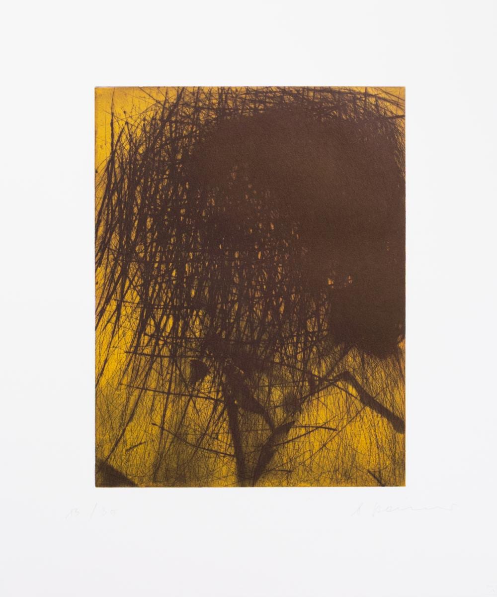 Arnulf Rainer comparable auction result: arnulf rainer 1929 baden wien 2025