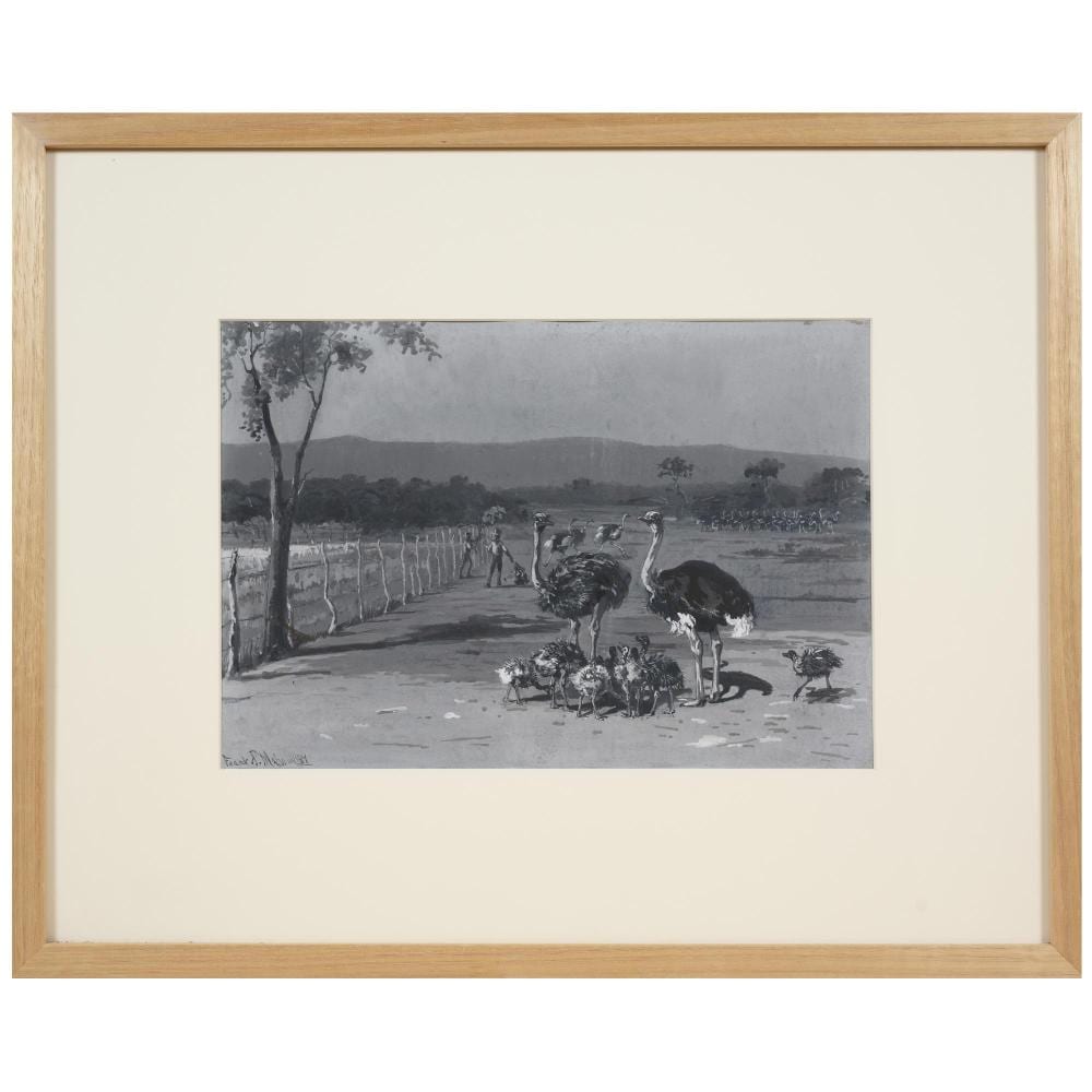 Camps Ribera comparable auction result: francis frank mahony 862 1916 an ostrich farm near port augusta an illustration for the picturesque atlas of australasia blac