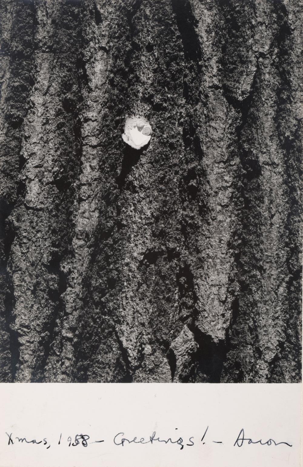 Aaron Siskind comparable auction result: aaron siskind