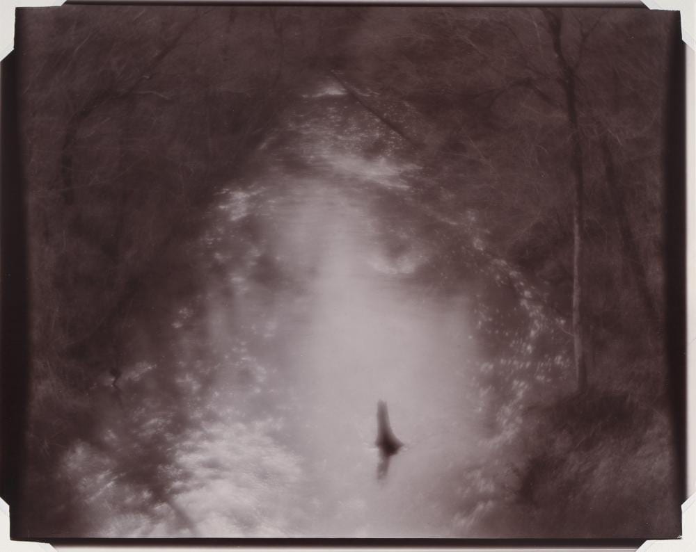 Linda Connor comparable auction result: linda connor