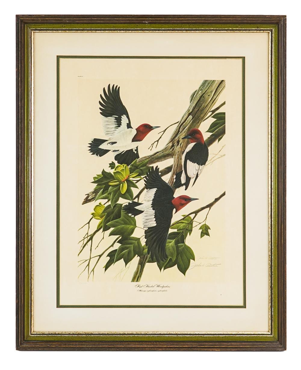 John A Ruthven comparable auction result: john a ruthven am 1924 2020 red headed woodpecker