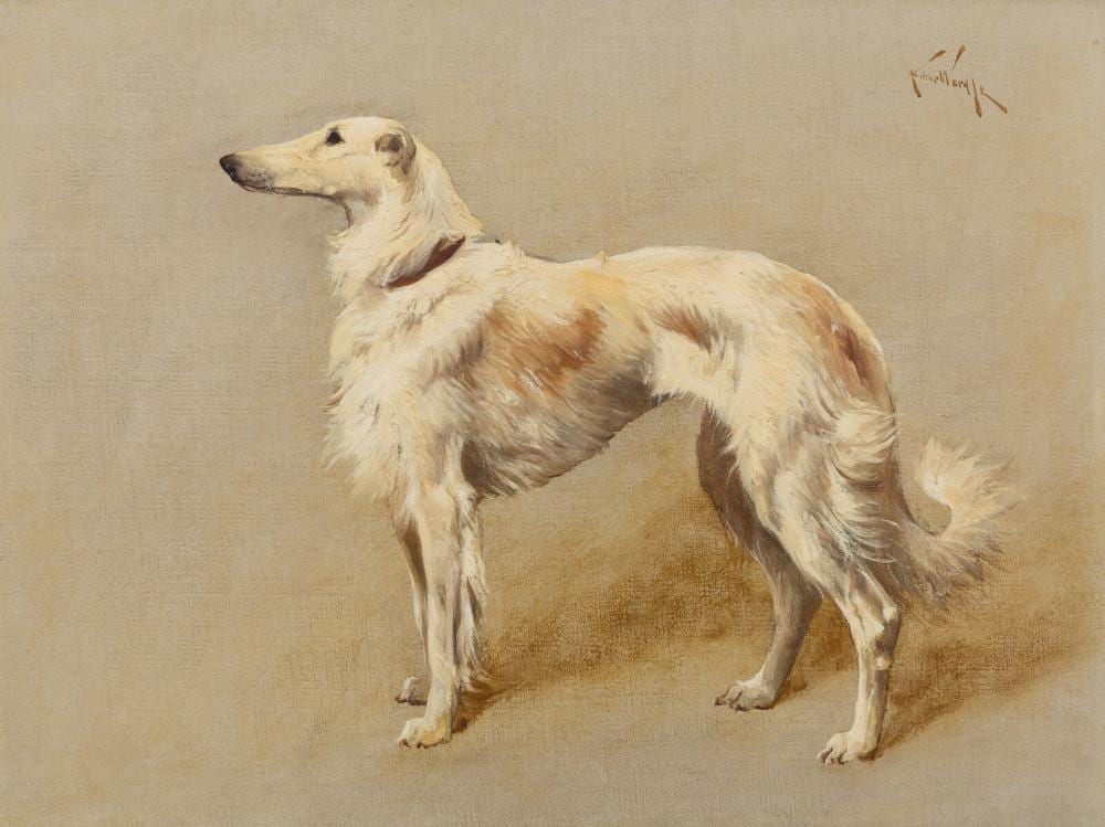 Arthur Wardle comparable auction result: arthur wardle british 1864 1949 portrait of a borzoi