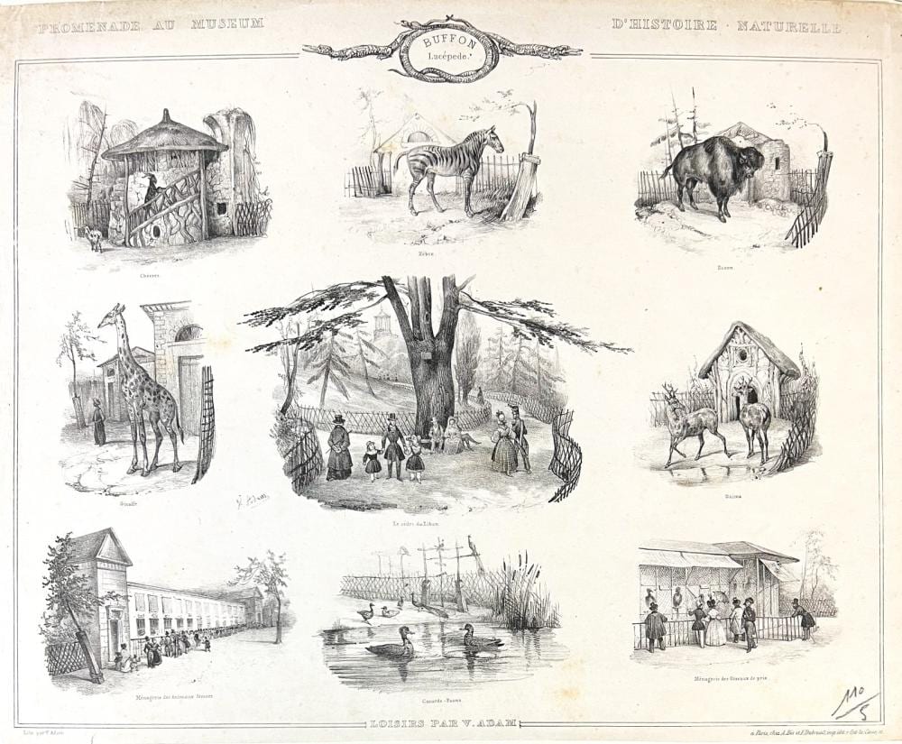 Victor-Jean Vincent Adam comparable auction result: victor adam lithograph promenade au museum d histoire naturelle c1835