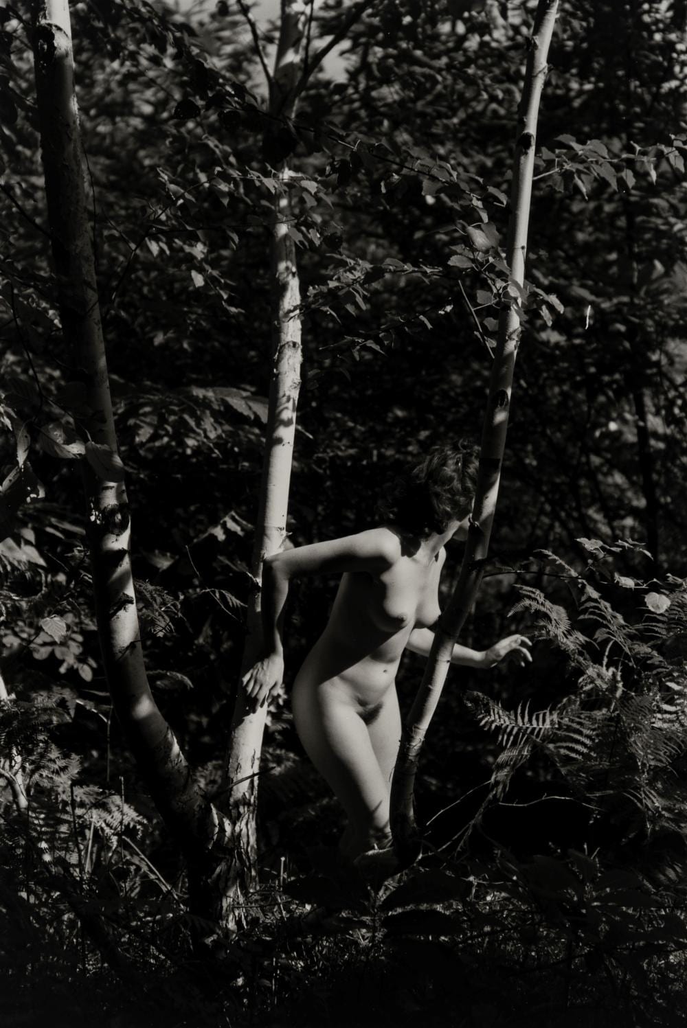 Fulvio Roiter comparable auction result: fulvio roiter 1926 2016 untitled nude 1950