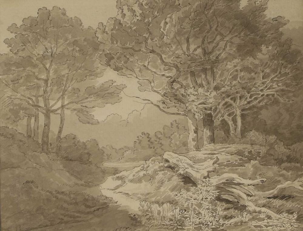 John White Abbott comparable auction result: john white abbott british 1763 1851 woodland chudleigh devon
