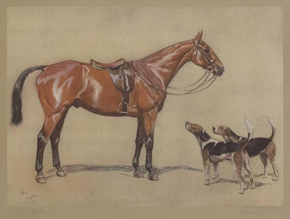 Cecil Charles Windsor Aldin comparable auction result: cecil aldin british 1870 1935 brains