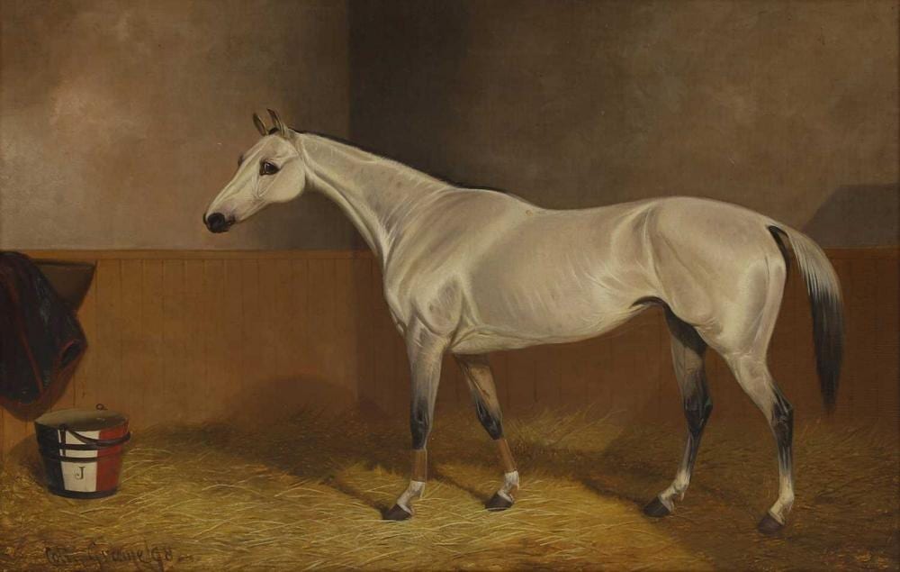 Colin Graeme comparable auction result: colin graeme british 1858 1910 a grey in a stable