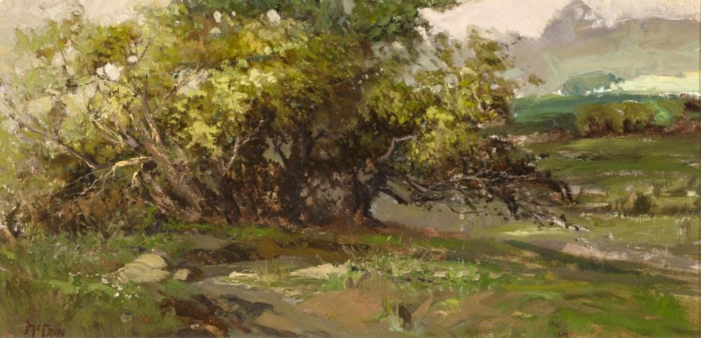 Buck McCain comparable auction result: buck mccain summertime 1970