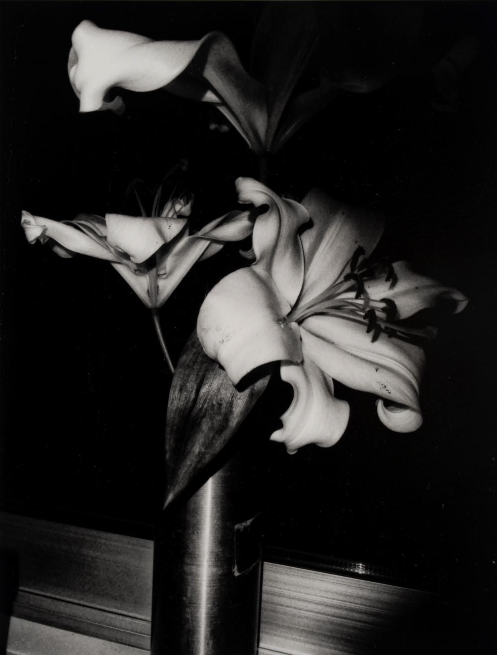 Daido Moriyama comparable auction result: daido moriyama 1938 untitled flowers 2000s