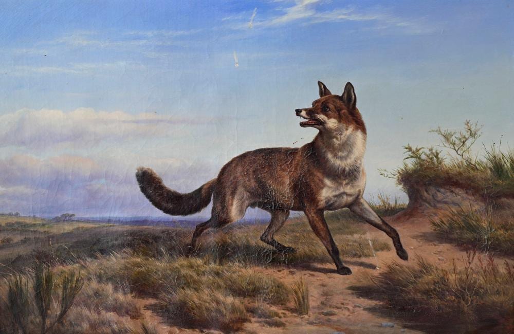 Charles Jones comparable auction result: charles jones british 1836 1892 dist