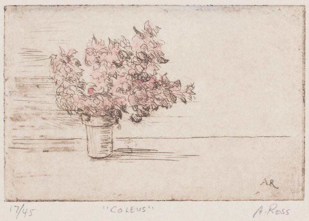 Alvin Ross comparable auction result: alvin ross new york new jersey 1920 1975 coleus undated hand colored etching plate 1 375 x 2 375 sheet 5 625 x 6 5 unframed