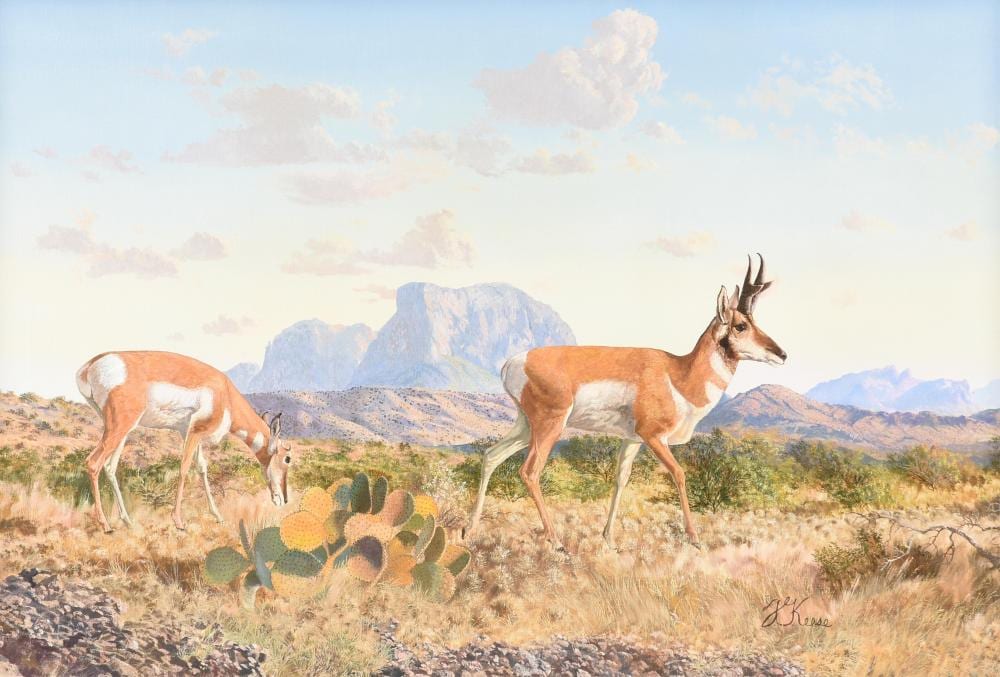 travis keese american texas 1932 2023 pair of pronghorn untitled late 20th century 24 x 36 in 61 x 91 4 cm frame 30 1 4 x 42 in 76 8 x 106 7 cm · Simpson Galleries, LLC · 2026-05-16 Travis Keese comparable auction result: travis keese american texas 1932 2023 pair of pronghorn untitled late 20th century 24 x 36 in 61 x 91 4 cm frame 30 1 4 x 42 in 76 8 x 106 7 cm