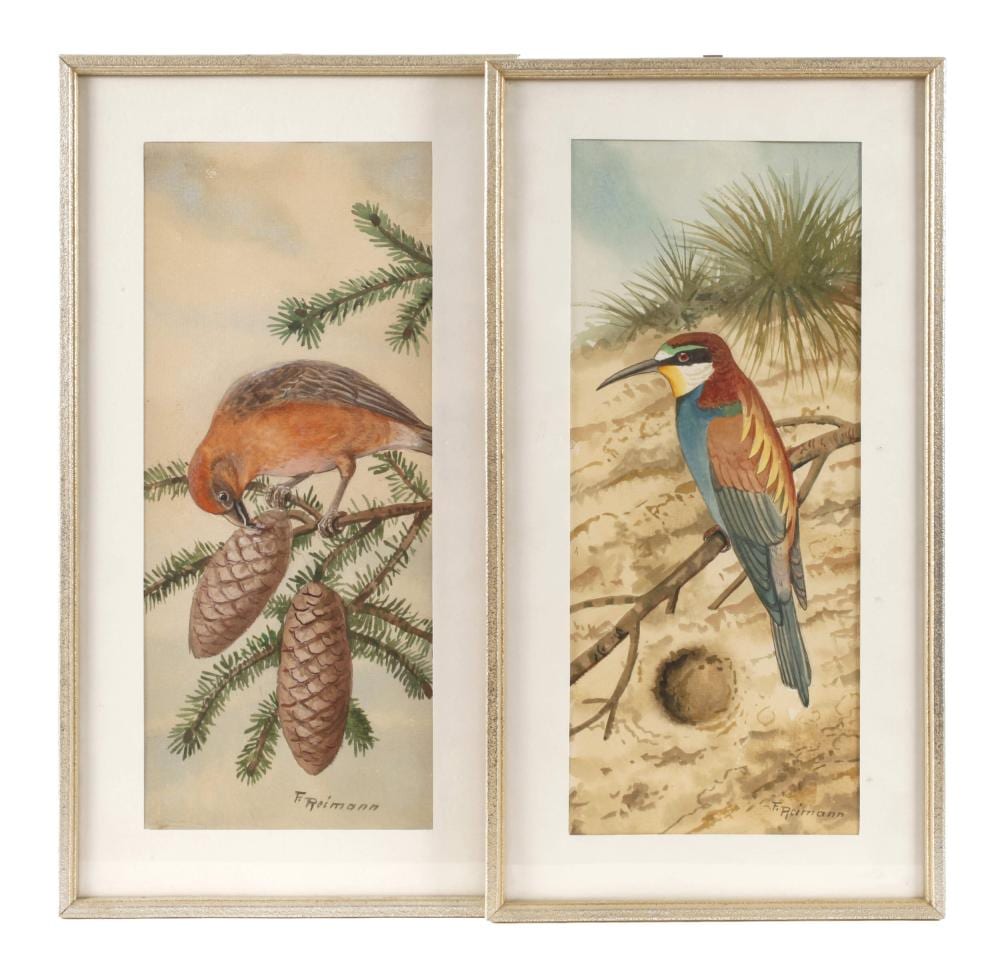 Friedrich Reimann comparable auction result: friedrich reimann zwei vogeldarstellungen
