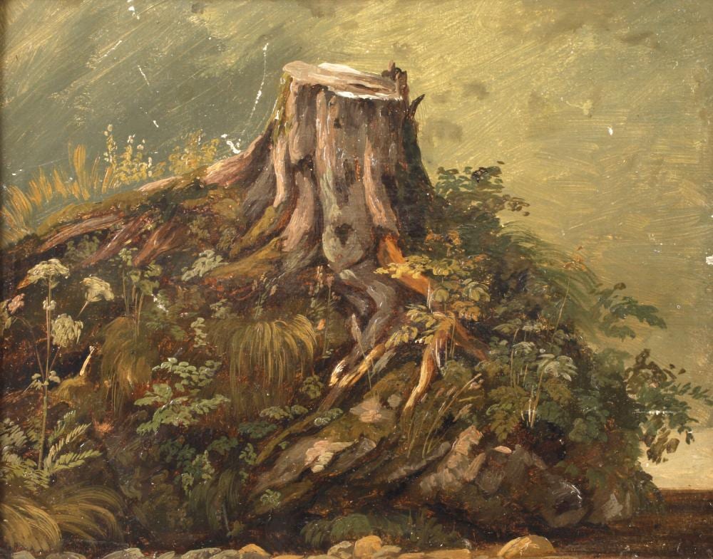 Friedrich Voltz comparable auction result: friedrich voltz studie eines baumstumpfs
