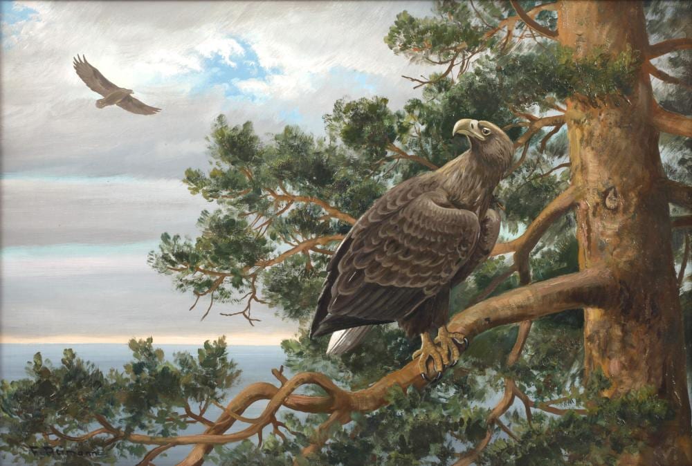 Friedrich Reimann comparable auction result: friedrich reimann seeadler im ge st