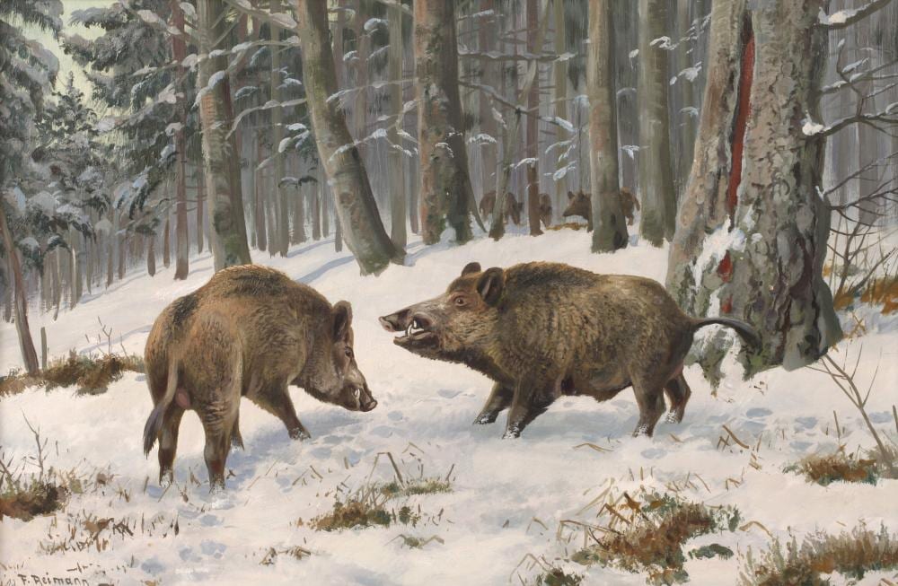 Friedrich Reimann comparable auction result: friedrich reimann wildschweine im winterwald