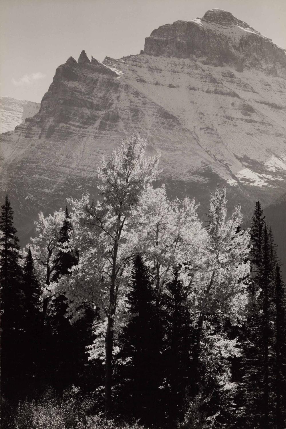 Ansel Adams comparable auction result: ansel adams 1902 1984