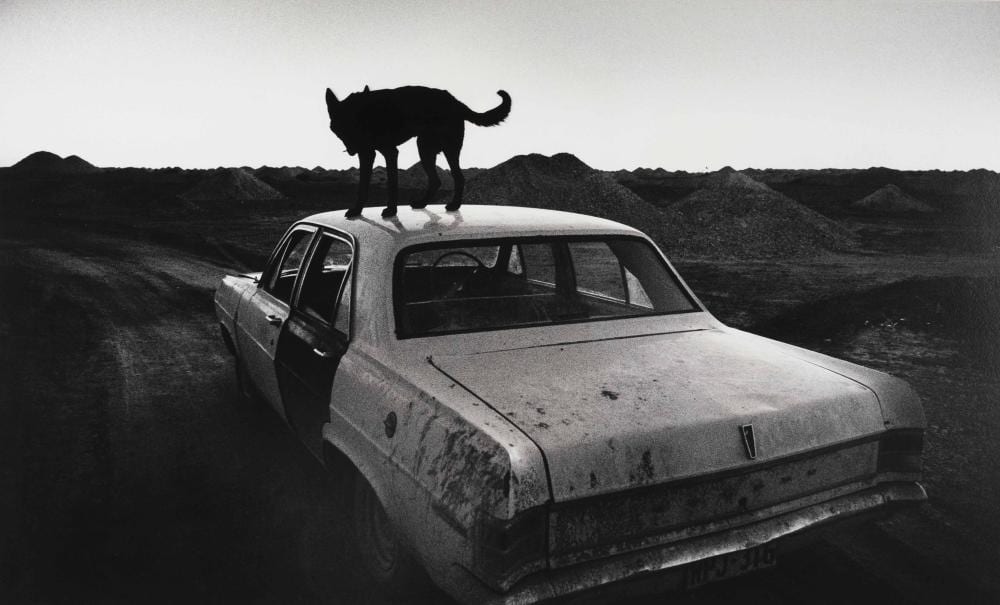Wim Wenders comparable auction result: wim wenders 1945