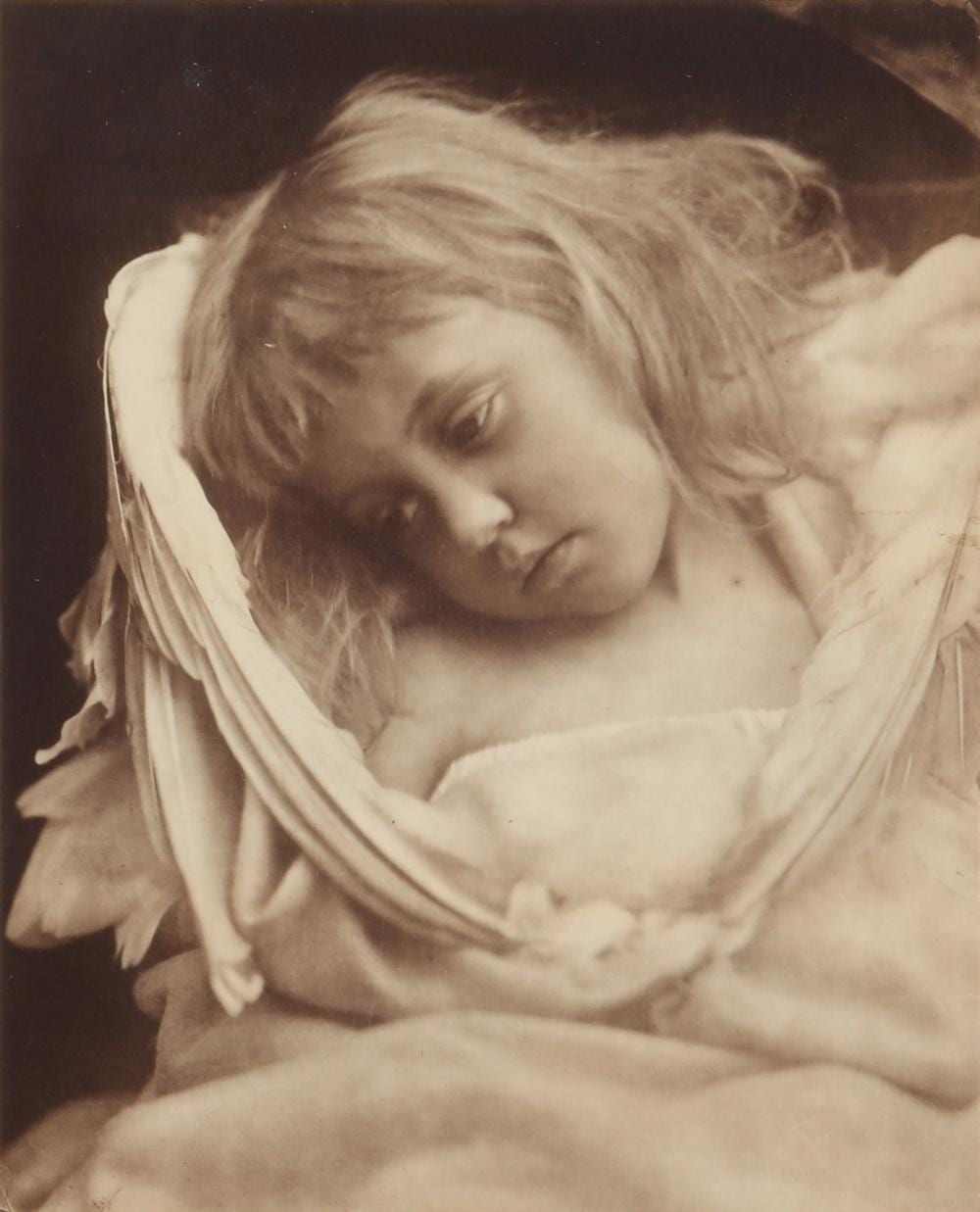 Julia Margaret Cameron comparable auction result: julia margaret cameron 1815 1879 the nestling angel 1872