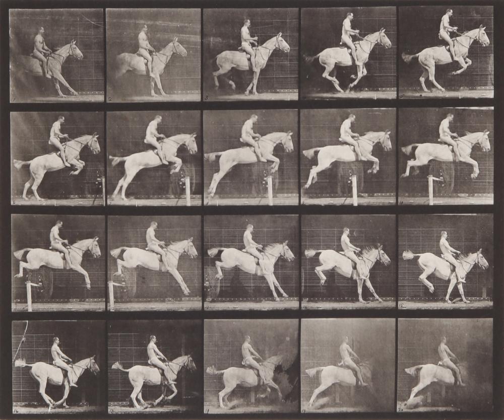 Eadweard Muybridge comparable auction result: eadweard muybridge 1830 1904 plate 642 from animal locomotion 1887