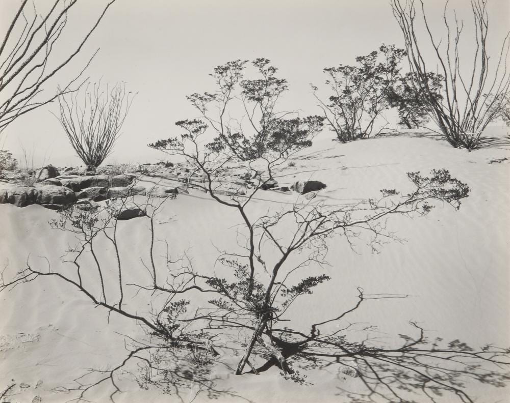 Brett Weston comparable auction result: brett weston 1911 1993 desert texas 1946