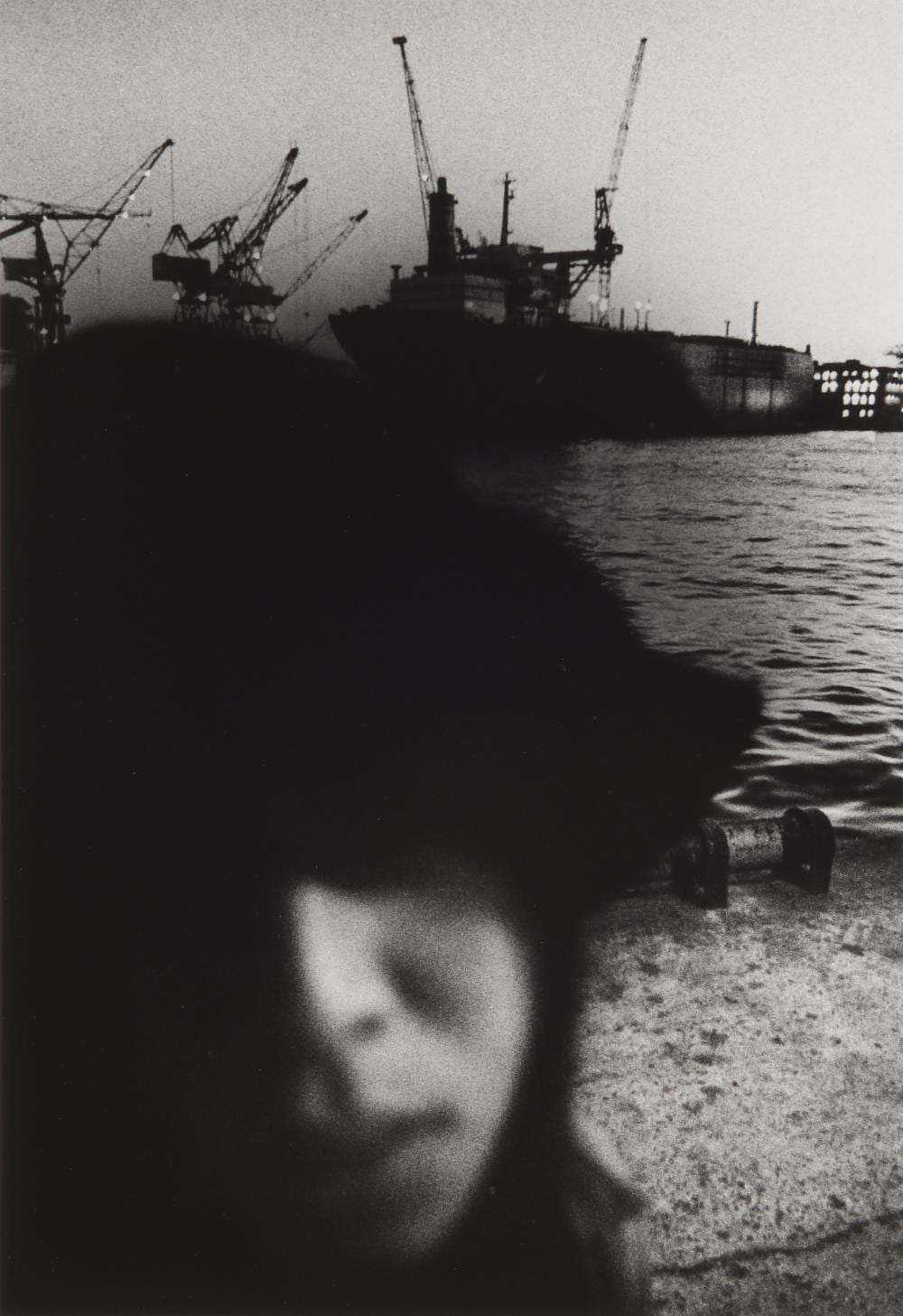 Daido Moriyama comparable auction result: daido moriyama b 1938 stray 1971