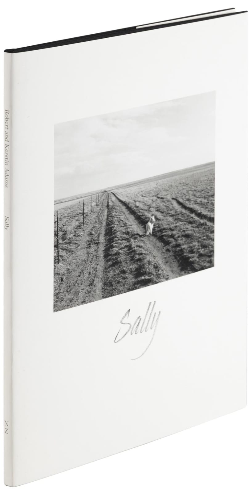 Robert (1821) Adamson comparable auction result: limited edition with original print signed by robert adams