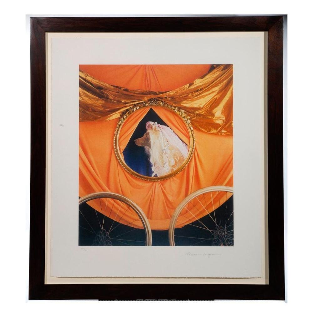 William Wegman comparable auction result: william wegman print cinderella ready to go to the ball