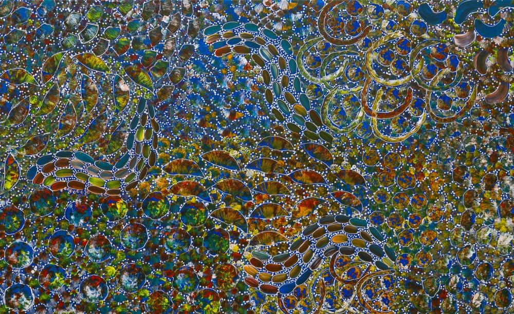 Rachael Nambula comparable auction result: rachael nambula bush yam dreaming acrylic on linen 81cm x 132cm