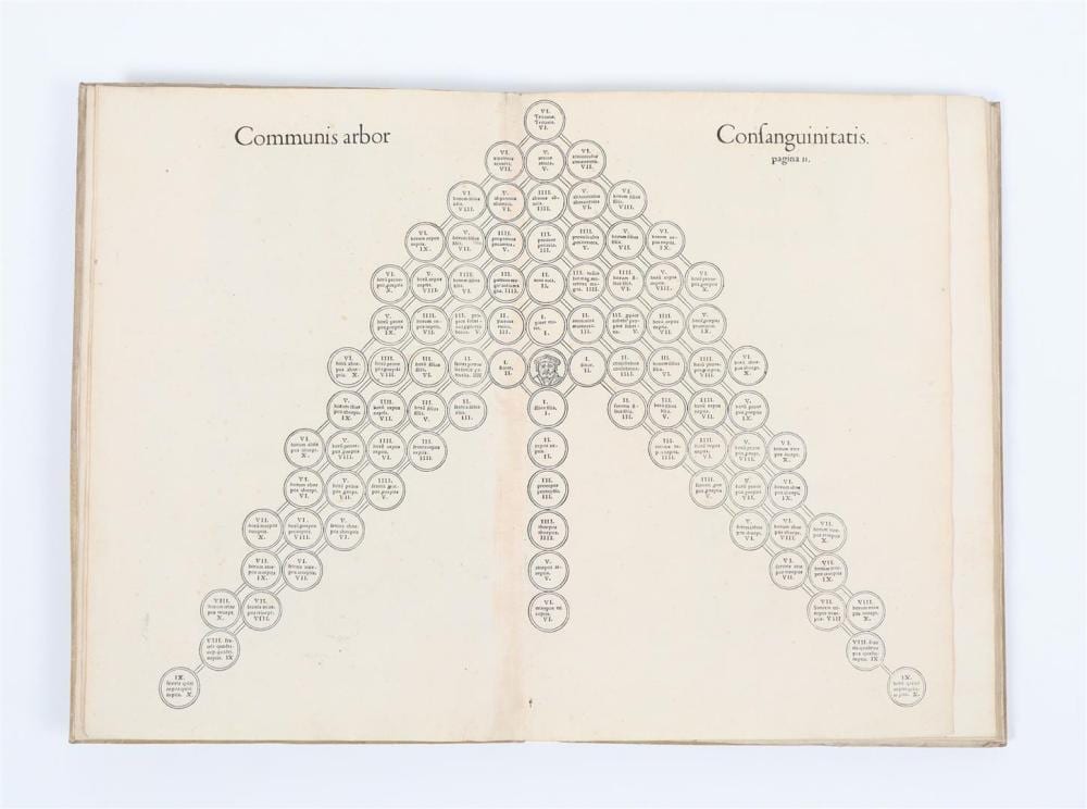 Loriot comparable auction result: loriot p in titulum illum de gradibus affinitatis hactenus incognitum commentarius